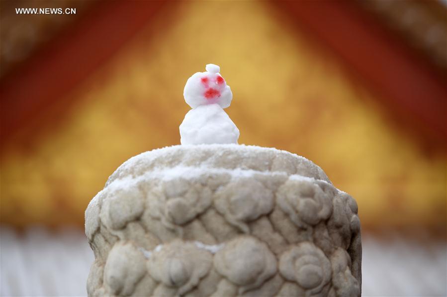 CHINA-BEIJING-SNOWFALL (CN)