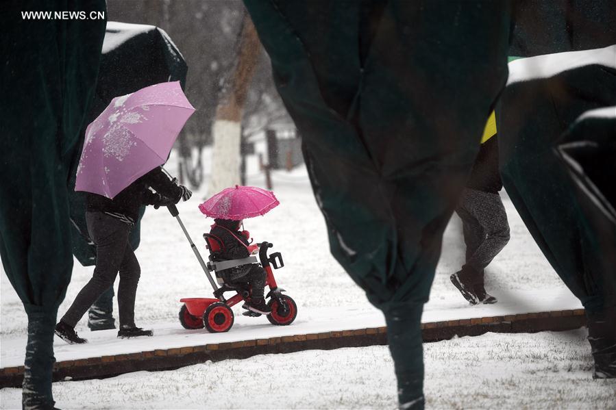 CHINA-BEIJING-SNOWFALL (CN)