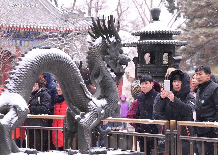 CHINA-BEIJING-SNOWFALL (CN)