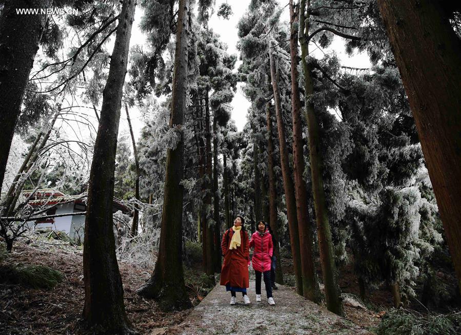 #CHINA-HUNAN-ZHANGJIAJIE-RIME AND ICICLE (CN)