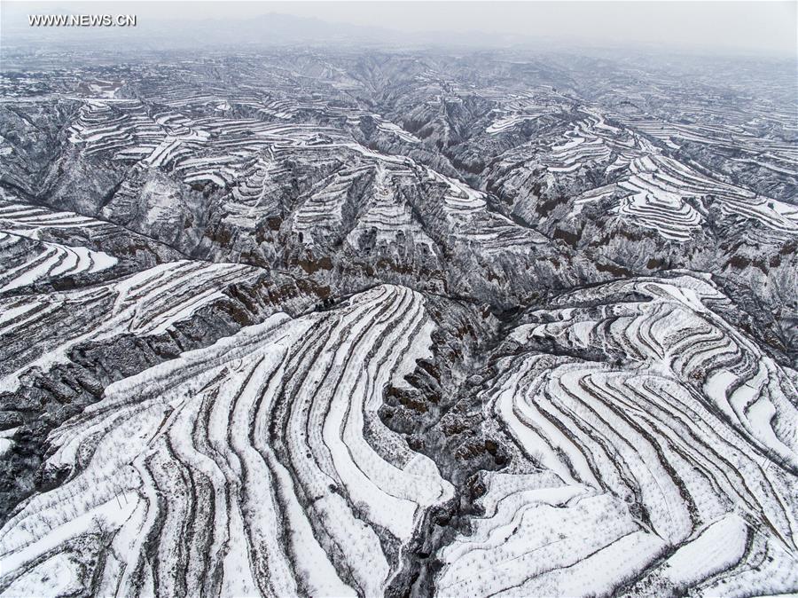 #CHINA-SHANXI-PINGLU-TERRACE FIELD-SNOWFALL (CN)