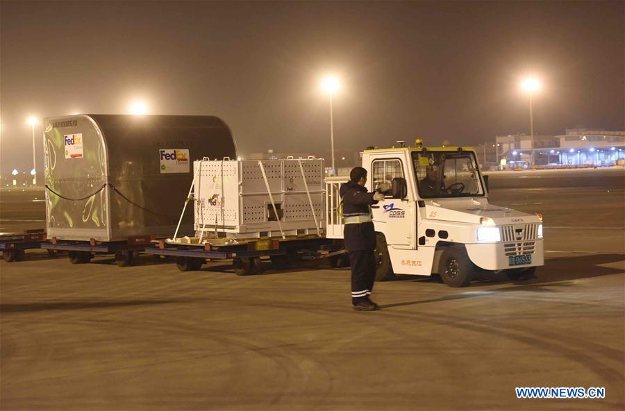 CHINA-CHENGDU-GIANT PANDA-BAO BAO-ARRIVAL (CN)