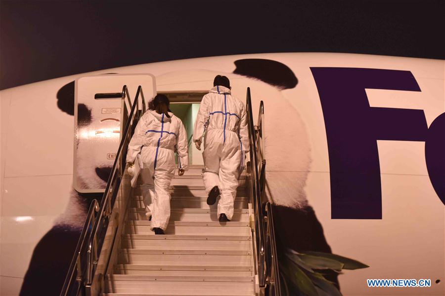 CHINA-CHENGDU-GIANT PANDA-BAO BAO-ARRIVAL (CN)