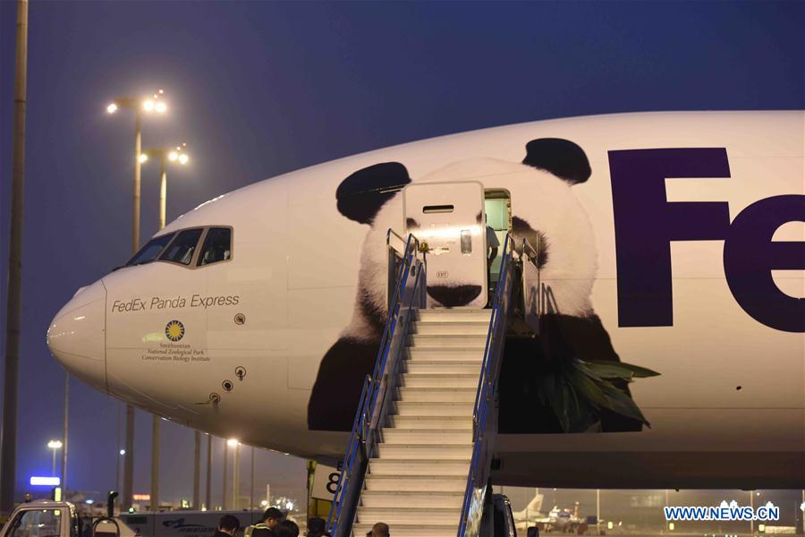 CHINA-CHENGDU-GIANT PANDA-BAO BAO-ARRIVAL (CN)