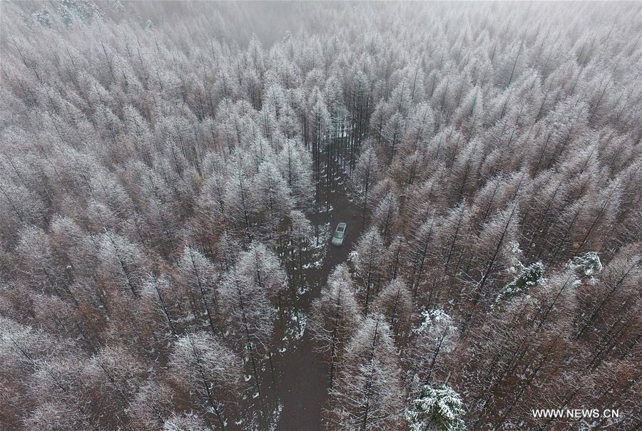 Photo taken on Feb. 25, 2017 shows the snow-covered forest at Shanwangping karst ecological park in Nanchuan District of Chongqing, southwest China. (Xinhua/Chen Cheng)