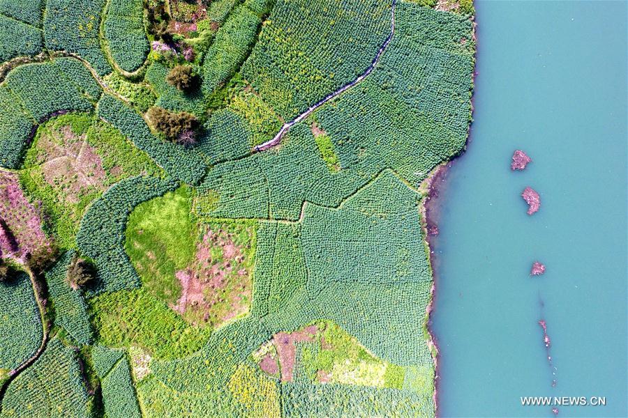 #CHINA-SPRING SCENERY-AERIAL VIEW (CN)