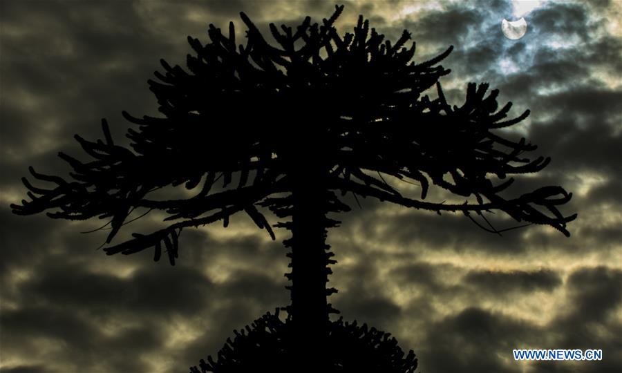 CHILE-VILCUN-ENVIRONMENT-ECLIPSE