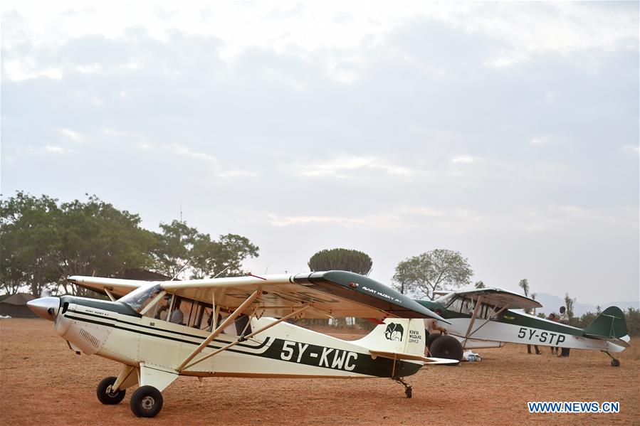 KENYA-VOI-ENVIRONMENT-MAMMALS-CENSUS-PROTECTION