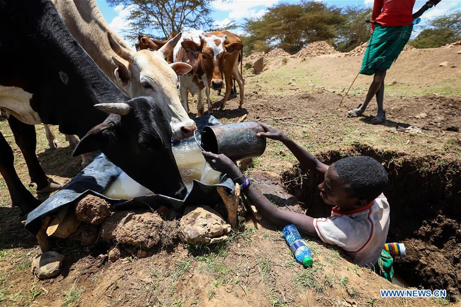 A herder collects water for his cattle in Laikipia County, Kenya, on March 1, 2017. The UN Food and Agriculture Organization (FAO) has warned that Kenya was facing a severe drought and with it a rise in food insecurity. Current estimates show over 2 million people are food insecure. 