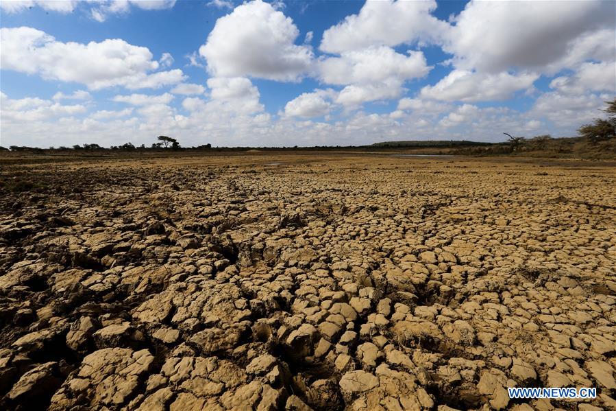 Photo taken on March 1, 2017, shows a dried-up pond in Laikipia County, Kenya. The UN Food and Agriculture Organization (FAO) has warned that Kenya was facing a severe drought and with it a rise in food insecurity. Current estimates show over 2 million people are food insecure. 