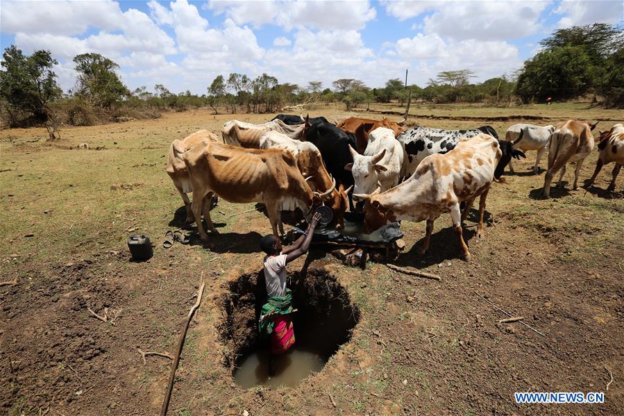 A herder stands in a water hole to collect water for his cattle in Laikipia County, Kenya, on March 1, 2017. The UN Food and Agriculture Organization (FAO) has warned that Kenya was facing a severe drought and with it a rise in food insecurity. Current estimates show over 2 million people are food insecure. 
