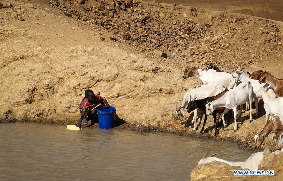 A girl collects water at a pond in Laikipia County, Kenya, on March 1, 2017. The UN Food and Agriculture Organization (FAO) has warned that Kenya was facing a severe drought and with it a rise in food insecurity. Current estimates show over 2 million people are food insecure. 