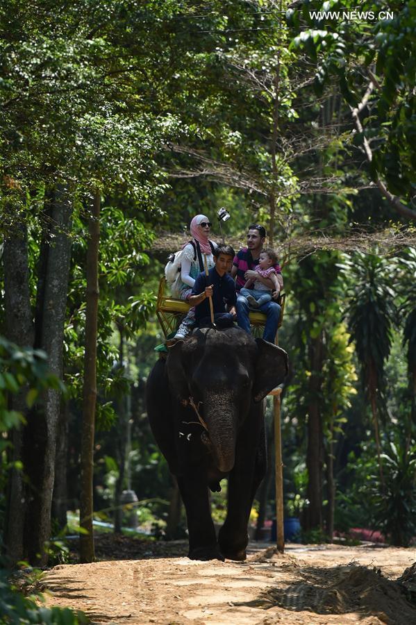 Tourists experience an elephant excursion at a zoo in central Thailand's Chonburi Province, March 1, 2017. 