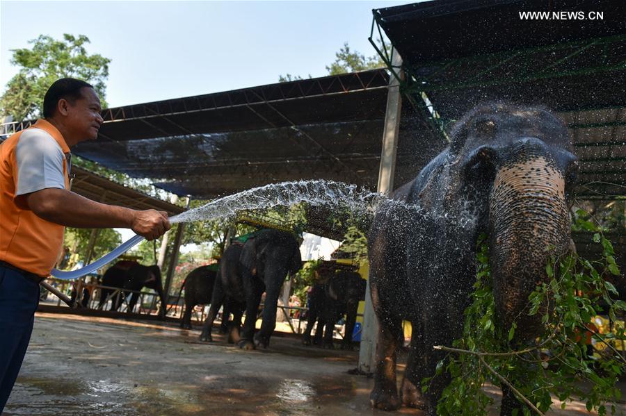 A mahout helps an Asian elephant take a shower at a zoo in central Thailand's Chonburi Province, March 1, 2017. 