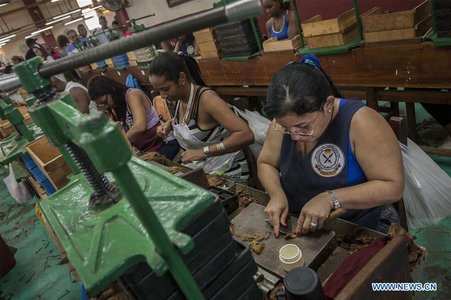 CUBA-HAVANA-INDUSTRY-TOBACCO