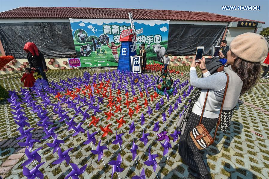 CHINA-HUZHOU-TOY WINDMILL (CN)