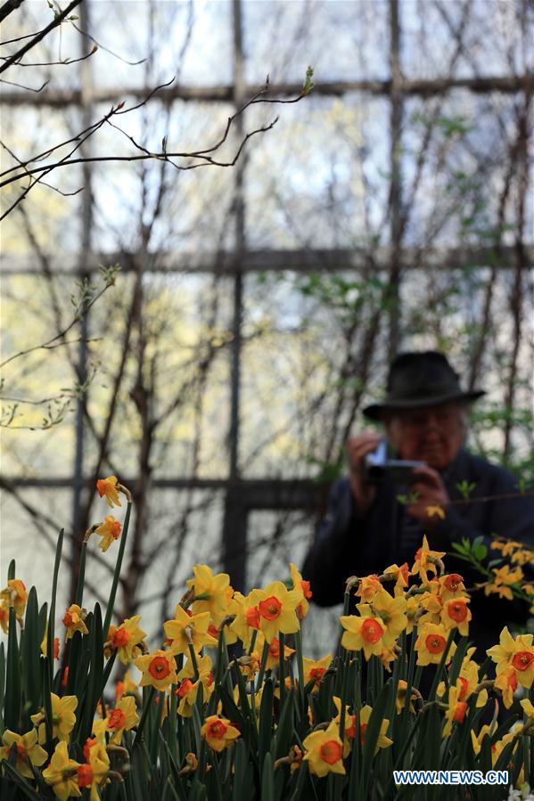GERMANY-FRANKFURT-FLOWER SHOW