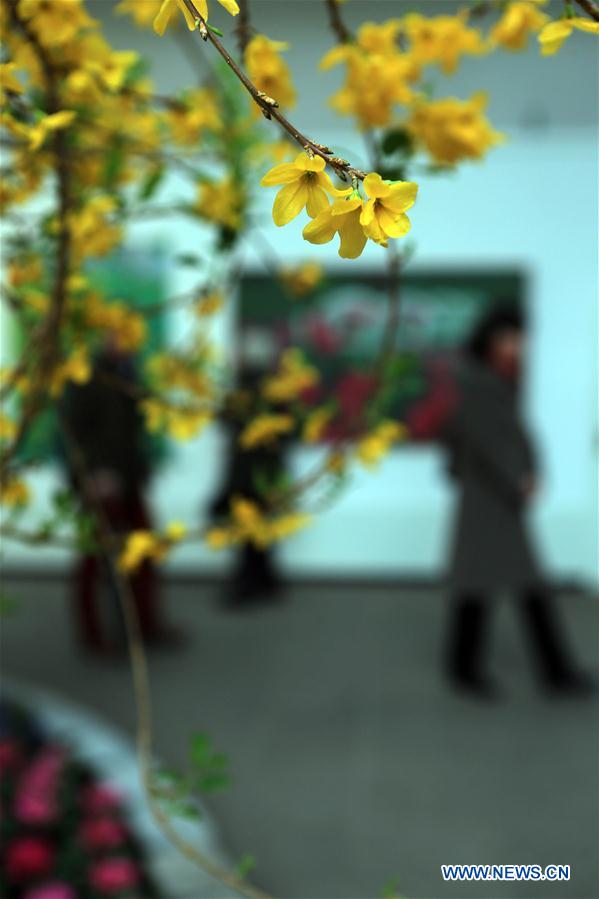 GERMANY-FRANKFURT-FLOWER SHOW