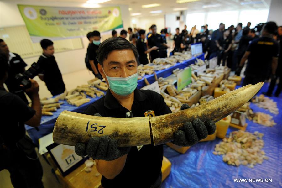 THAILAND-BANGKOK-IVORY-SEIZURE