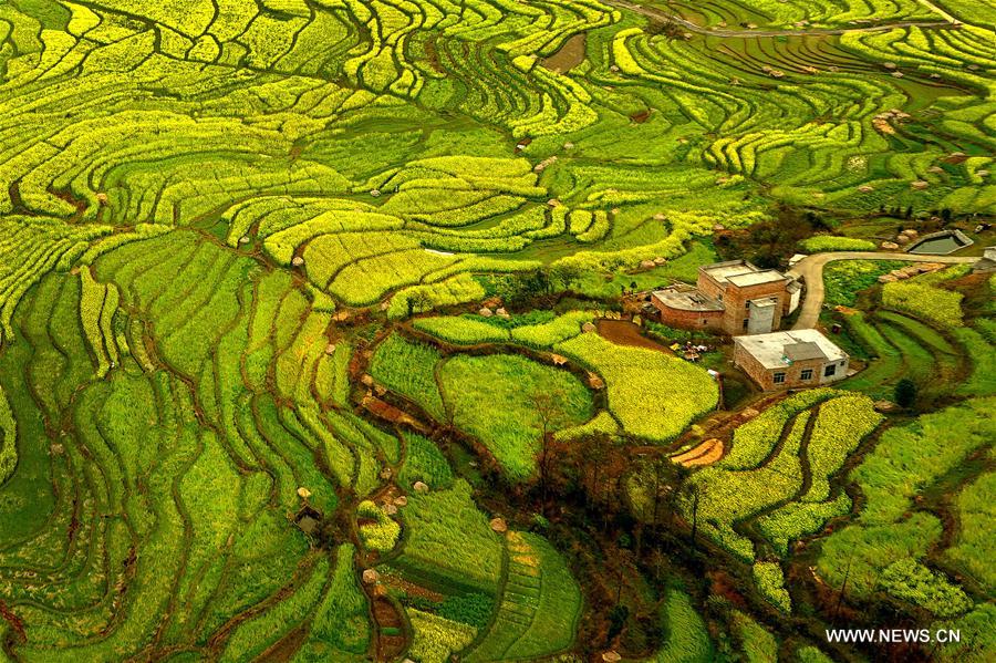 #CHINA-RURAL AREA-SCENERY (CN)