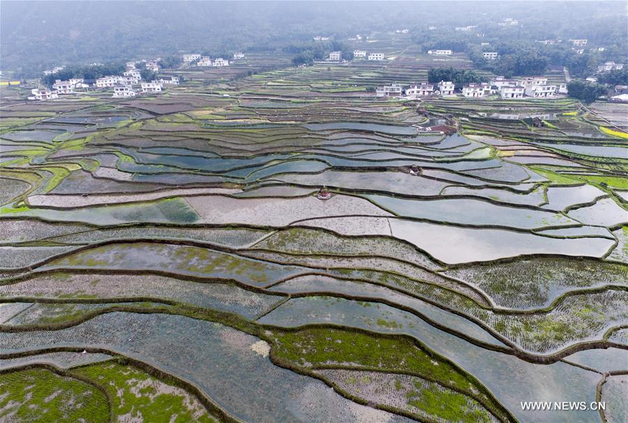 #CHINA-RURAL AREA-SCENERY (CN)