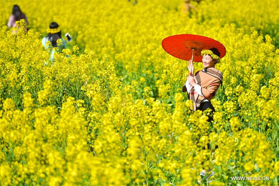 CHINA-JIANGXI-WUYUAN-SPRING SCENERY (CN)