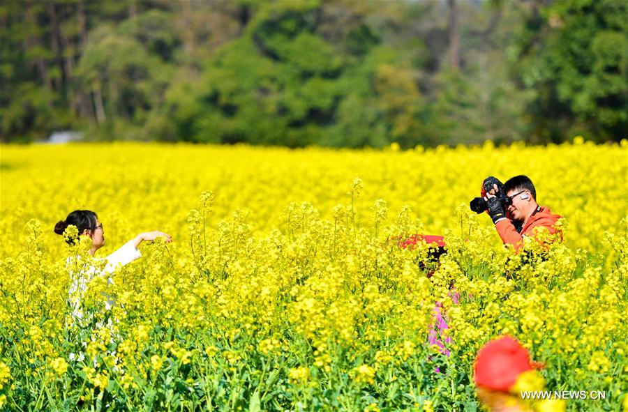 CHINA-JIANGXI-WUYUAN-SPRING SCENERY (CN)