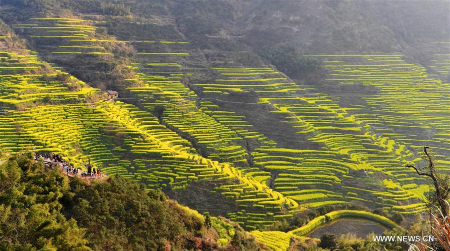 CHINA-JIANGXI-WUYUAN-SPRING SCENERY (CN)