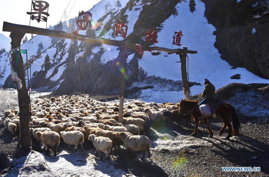 CHINA-XINJIANG-HERDSMEN-SPRING PASTURES (CN) 