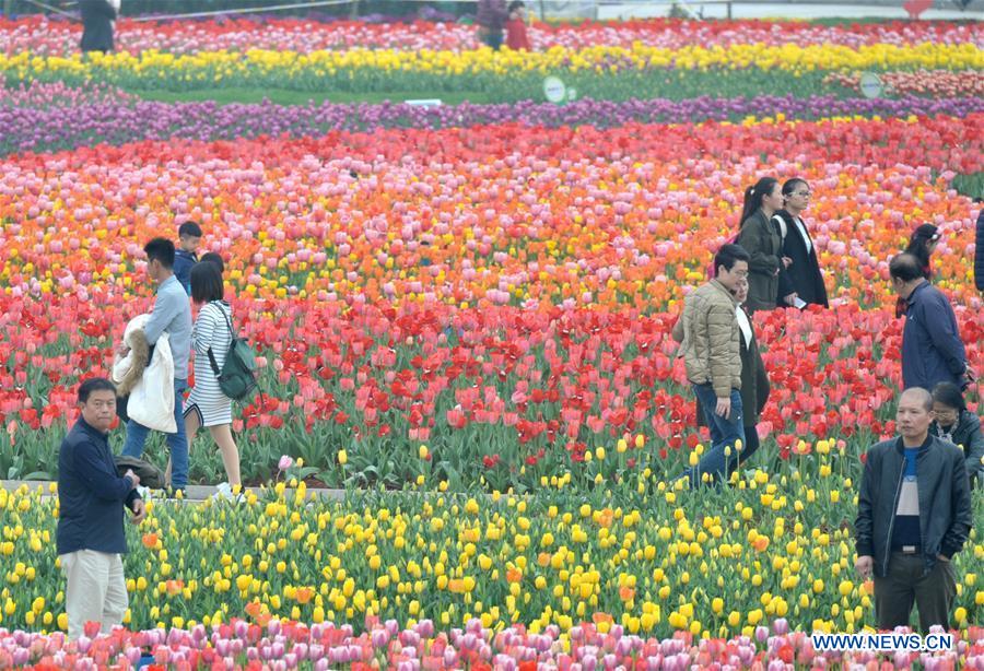 Tourists enjoy the tulip blossoms at Hunan Forest Botanical Garden in Changsha City of central China's Hunan Province, March 11, 2017.