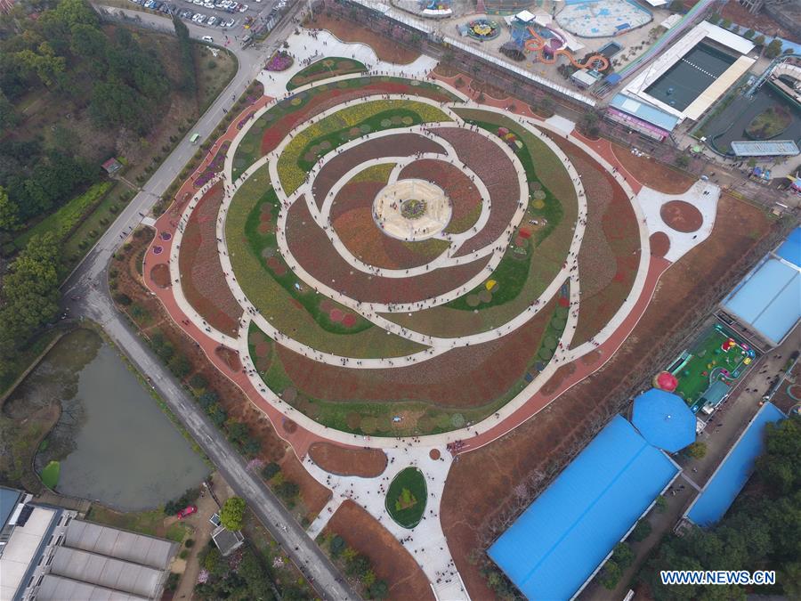 Aerial photo taken on March 11, 2017 shows the garden of tulips at Hunan Forest Botanical Garden in Changsha City of central China's Hunan Province.