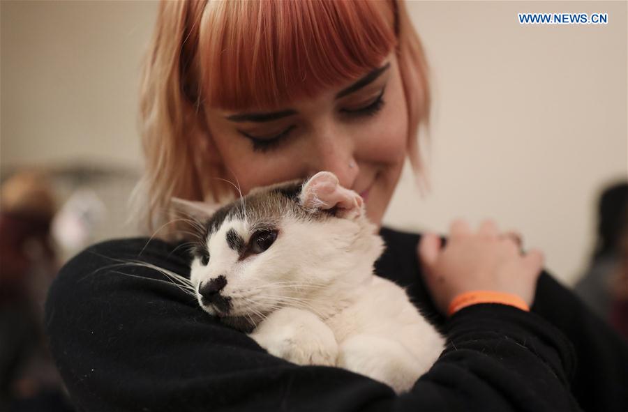 A girl holds an adoptable cat during the Cat Camp in New York, the United States, on March 11, 2017. 