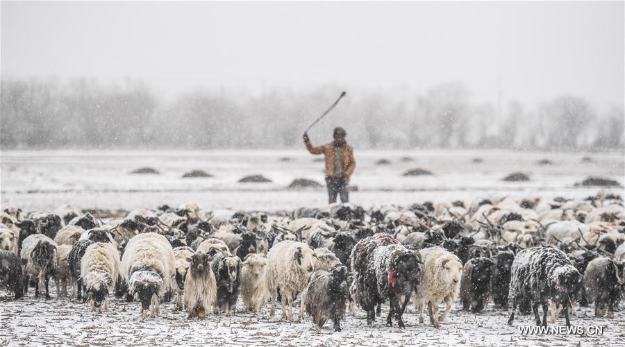 XINHUA PHOTO WEEKLY CHOICES