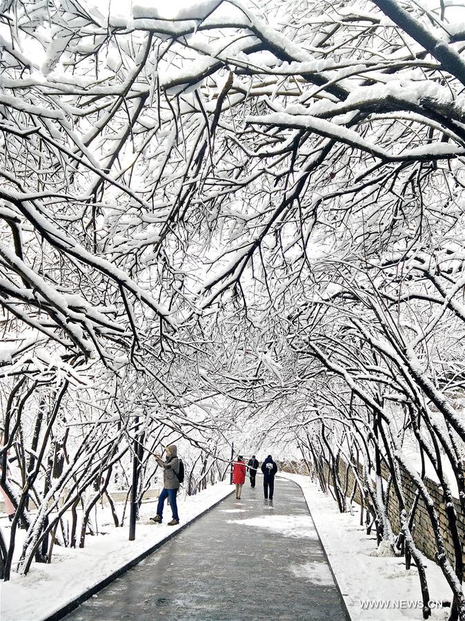 #CHINA-GANSU-SNOWFALL (CN)