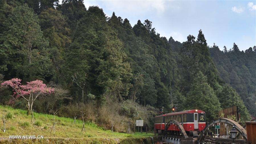 CHINA-CHIAYI-ALI MOUNTAINS-SCENERY (CN)
