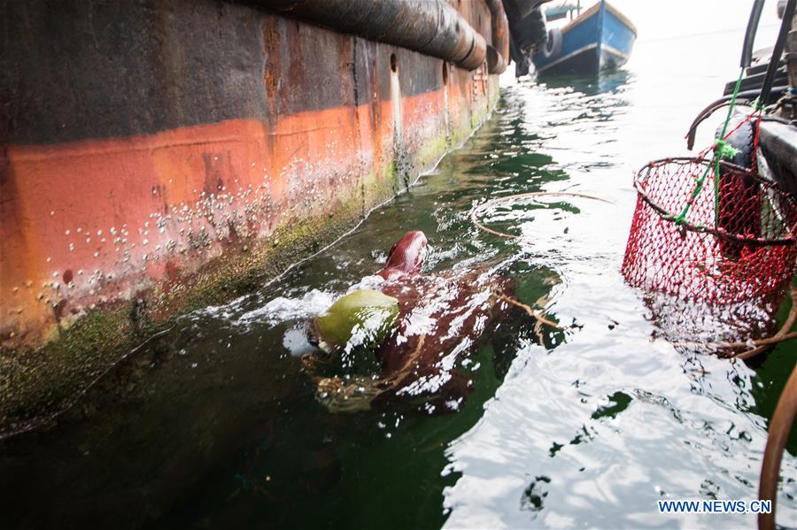 INDONESIA-JAKARTA-DAILY LIFE-MUSSELS WORKER
