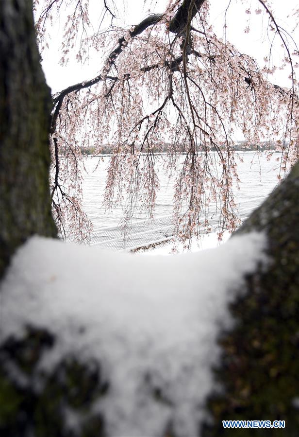 U.S.-WASHINGTON D.C.-STORM-STELLA