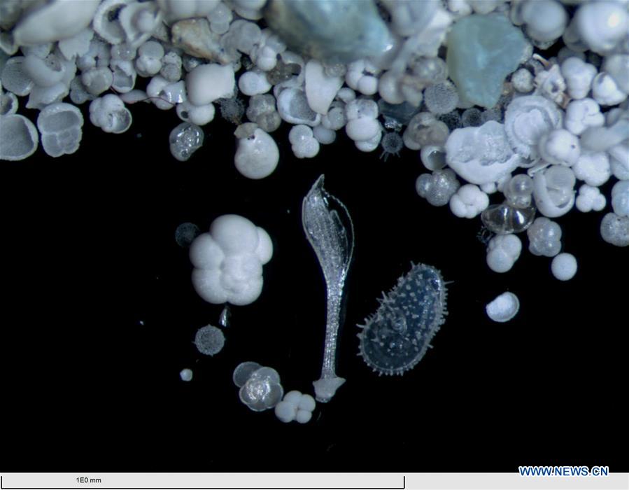 CHINA-IODP EXPEDITION-SOUTH CHINA SEA (CN)