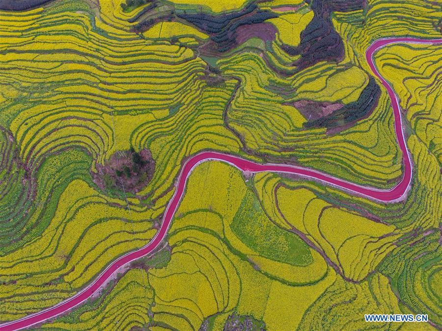 #CHINA-GUIZHOU-AERIAL PHOTO-ROAD(CN)