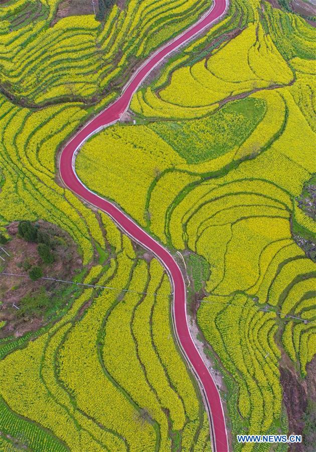 #CHINA-GUIZHOU-AERIAL PHOTO-ROAD(CN)