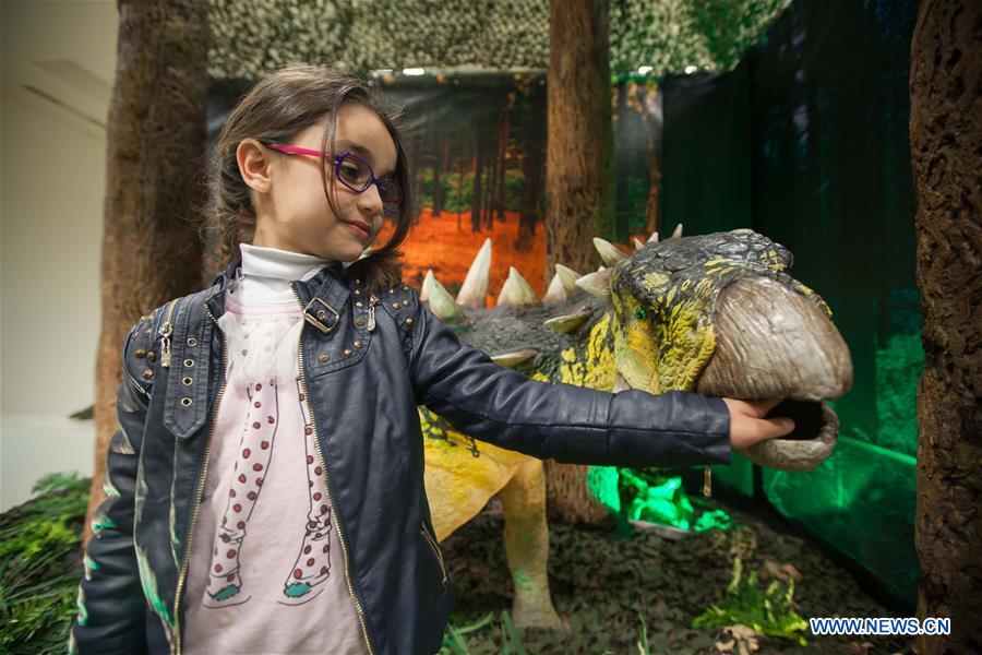 MIDEAST-BETHLEHEM-MUSEUM-NATURE