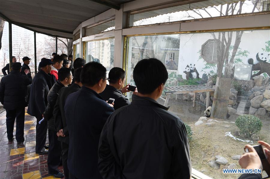 People say goodbye to giant panda Shu Lan at Lanzhou Zoo in Lanzhou, capital of northwest China's Gansu Province, March 16, 2017. The 23-year-old giant panda will leave Lanzhou on Thursday to return to its hometown in southwest China's Sichuan Province due to health concerns. The Lanzhou zoo held a farewell party for Shu Lan on Thursday morning. Many locals came to say goodbye. Experts said Shu Lan is in normal health, but concluded that she has shown some symptoms of aging, such as weight loss. Her age is equivalent to about 70 human years. Therefore, experts suggested sending Shu Lan to a conservation and research center for Giant Panda in Sichuan to help her maintain her health. (Xinhua/Fan Peishen)