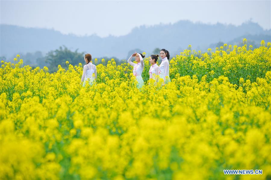 Tourists view cole flowers at Linfeng Township in Changshou District of Chongqing, southwest China, March 16, 2017. (Xinhua/Li Renzi)
