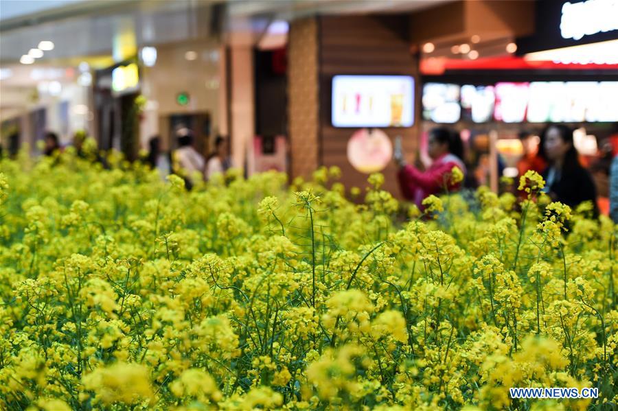 Citizens shop at a mall decorated with rapeseed flowers in Chongqing, southwest China, March 17, 2017. A local mall brought spring rural sceneries indoor to attract consumers. (Xinhua/Liu Chan) 