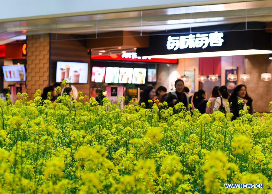 Citizens shop at a mall decorated with rapeseed flowers in Chongqing, southwest China, March 17, 2017. A local mall brought spring rural sceneries indoor to attract consumers. (Xinhua/Liu Chan)