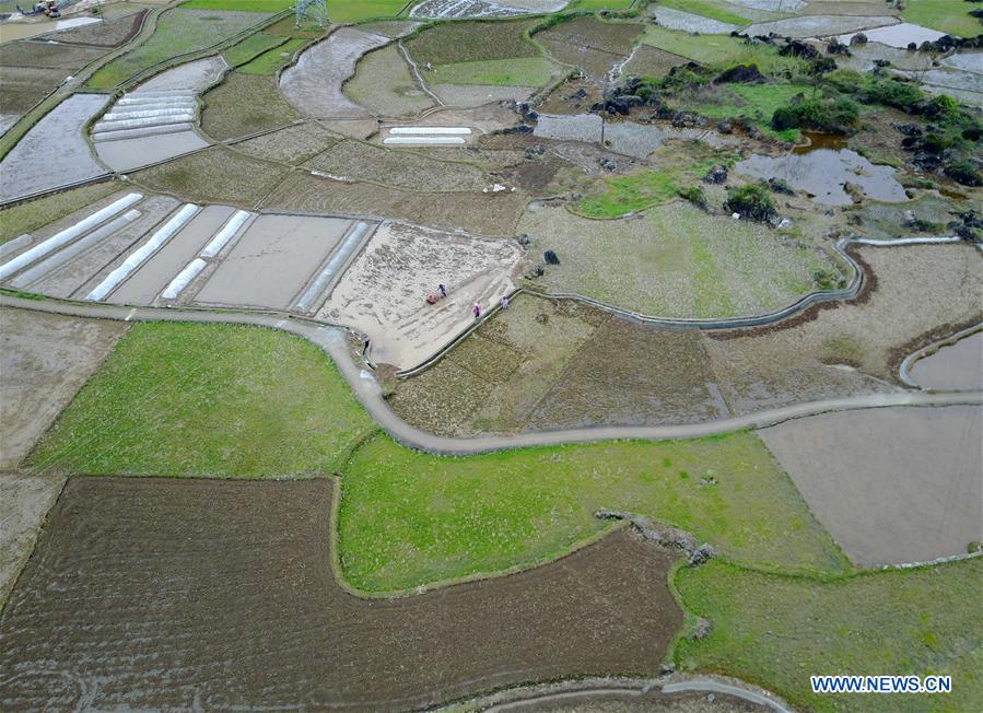 Aerial photo taken on March 17, 2017 shows farmland at Guling Township under Mashan County, southwest China's Guangxi Zhuang Autonomous Region. Villagers are busy spring ploughing in Guling. (Xinhua/Zhou Hua)