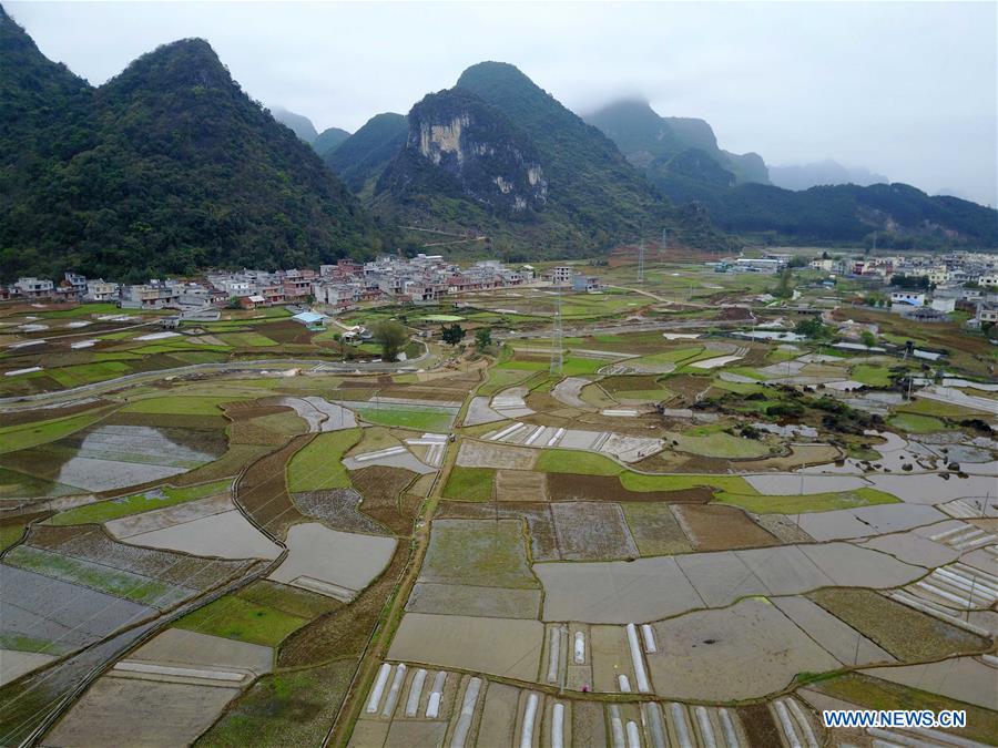 Aerial photo taken on March 17, 2017 shows farmland at Guling Township under Mashan County, southwest China's Guangxi Zhuang Autonomous Region. Villagers are busy spring ploughing in Guling. (Xinhua/Zhou Hua)