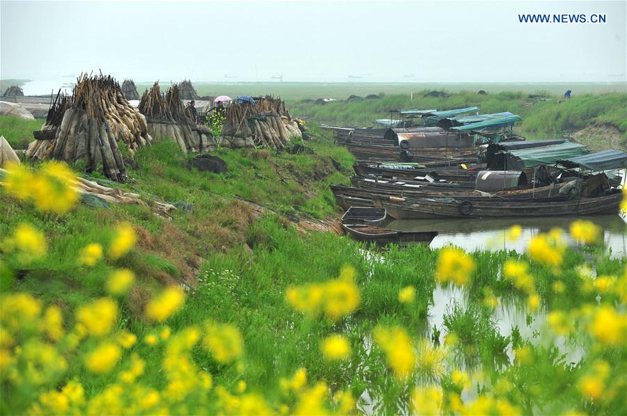 CHINA-JIANGXI-POYANG LAKE-FISHING BAN (CN)