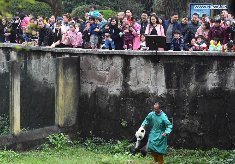 CHINA-CHONGQING-PANDA CUBS-NAMING (CN)