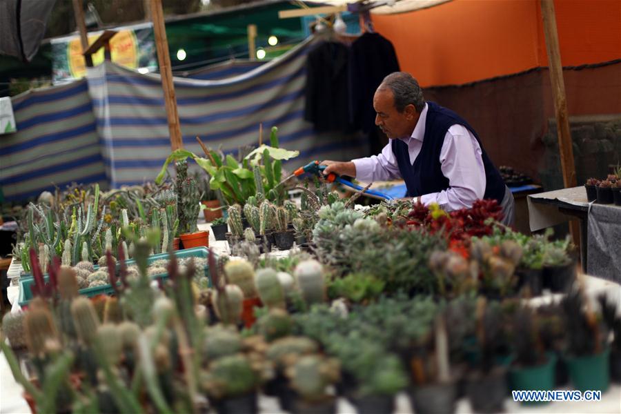 EGYPT-GIZA-EXHIBITION-FLOWER